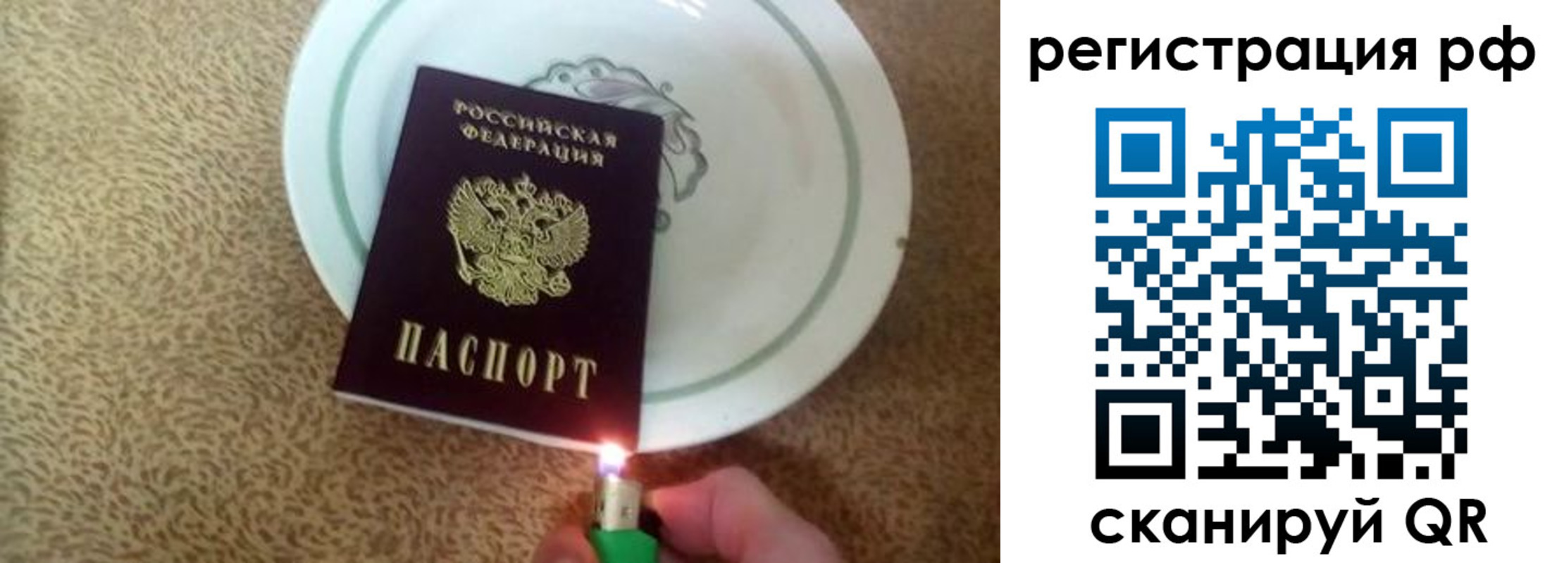 прописка в квартире в Зверево